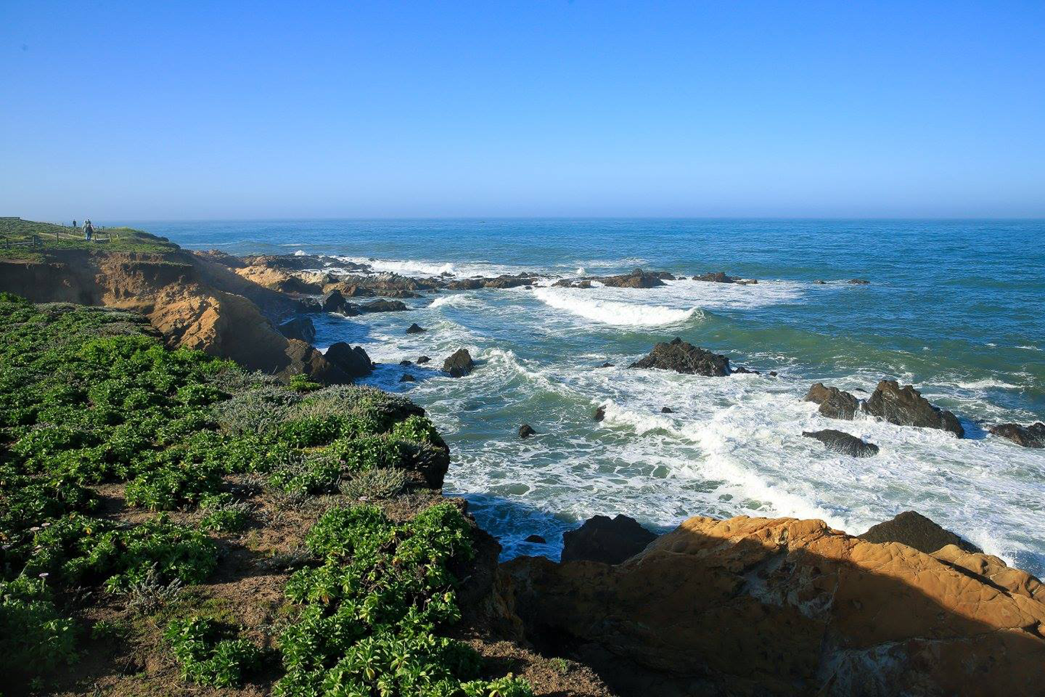 Rocky coastline with waves crashing against the shore, green vegetation in the foreground, and a clear blue sky above—an iconic view near Moonstone Beach Cambria CA hotel.